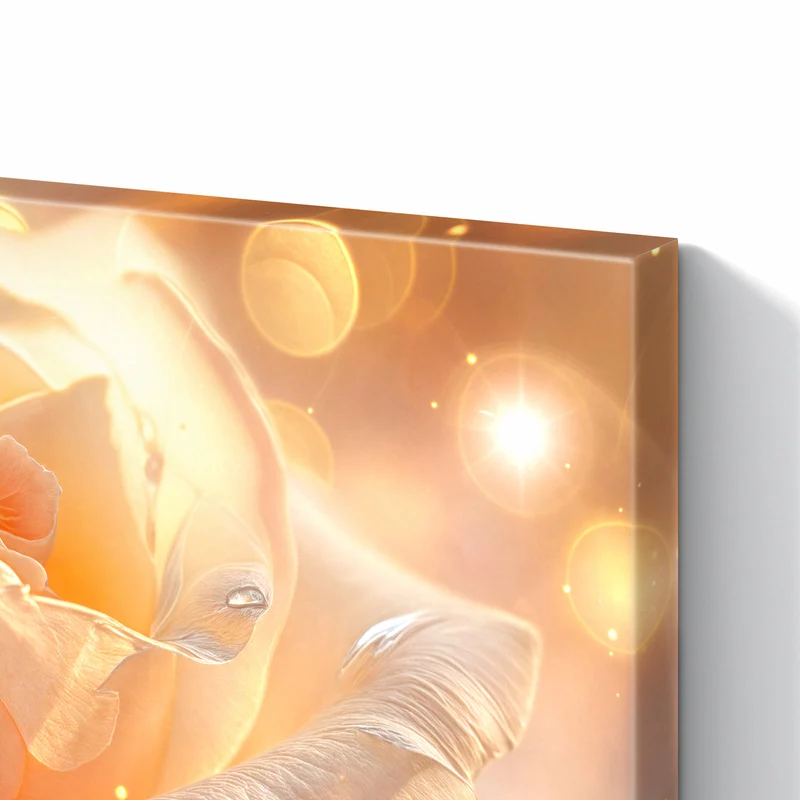 Metall Magnettafel - Apricotfarbene Rose