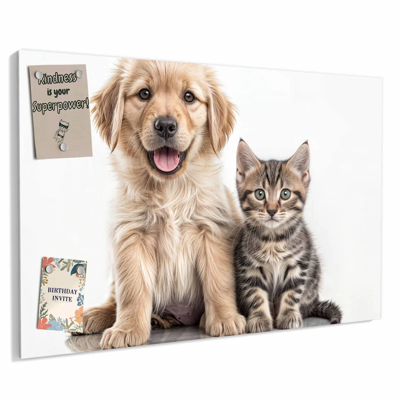 Metall Magnettafel - Retriever und Kätzchen