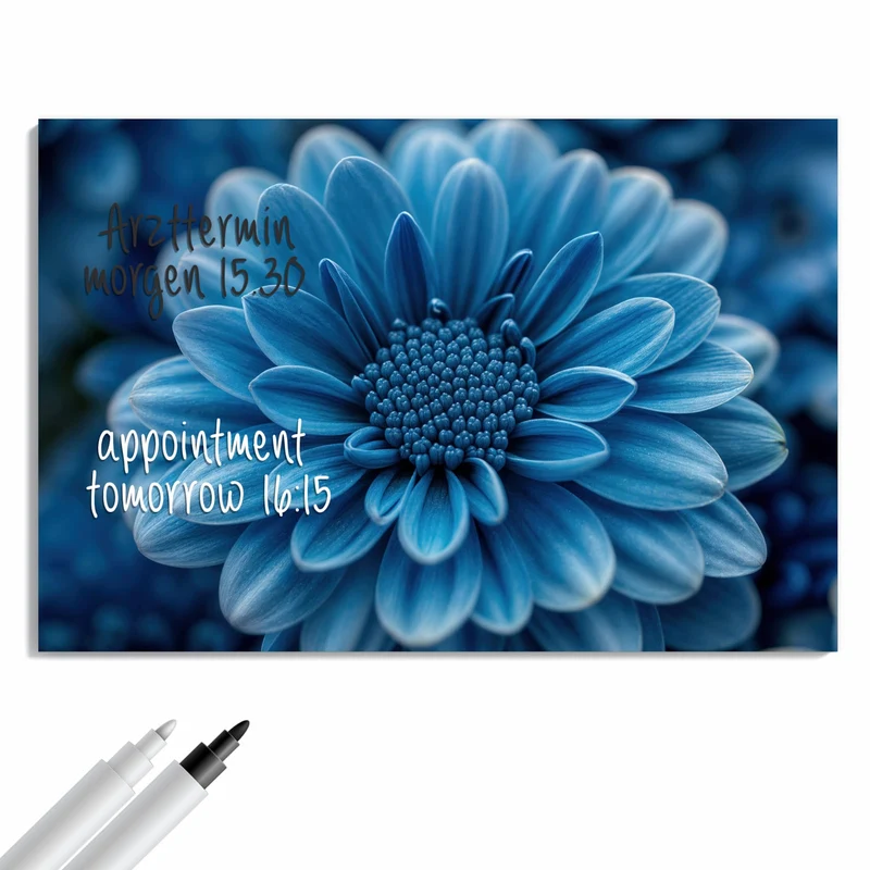 Metall Magnettafel - Blaue Chrysantheme