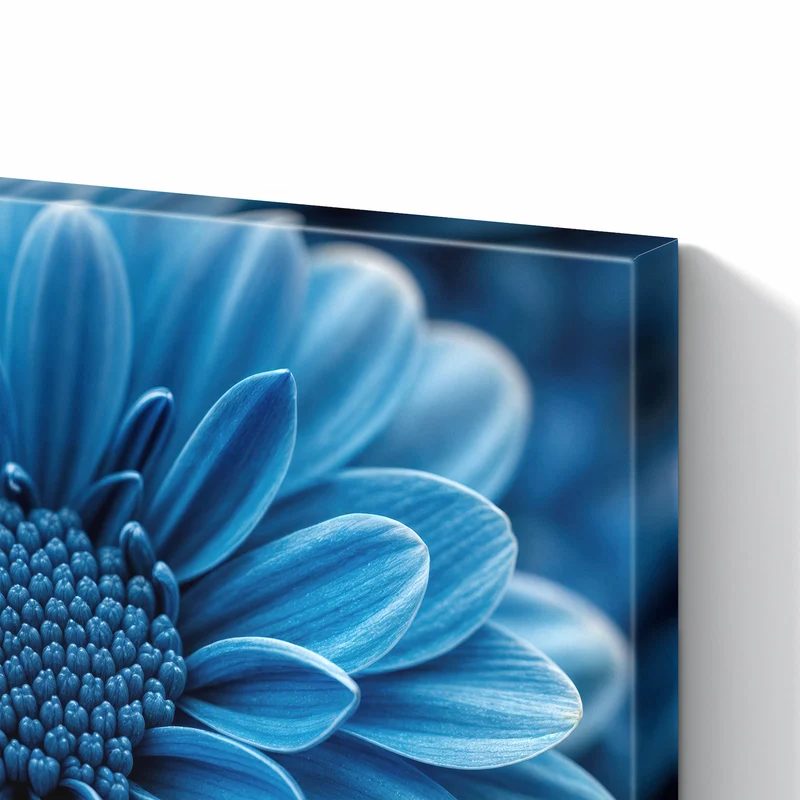 Metall Magnettafel - Blaue Chrysantheme