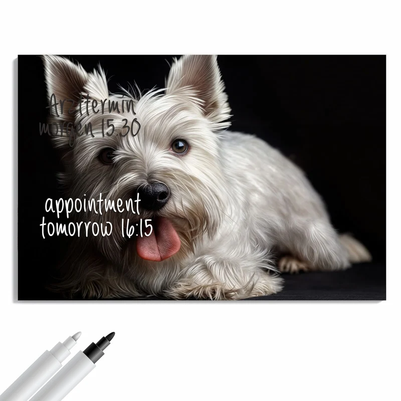 Metall Magnettafel - Weißer Terrier