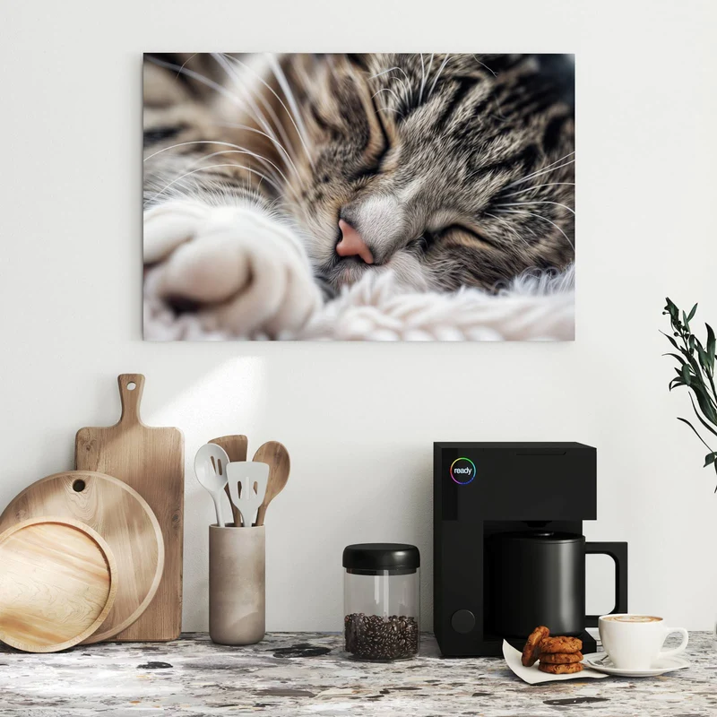Metall Magnettafel - Schlafende Katze