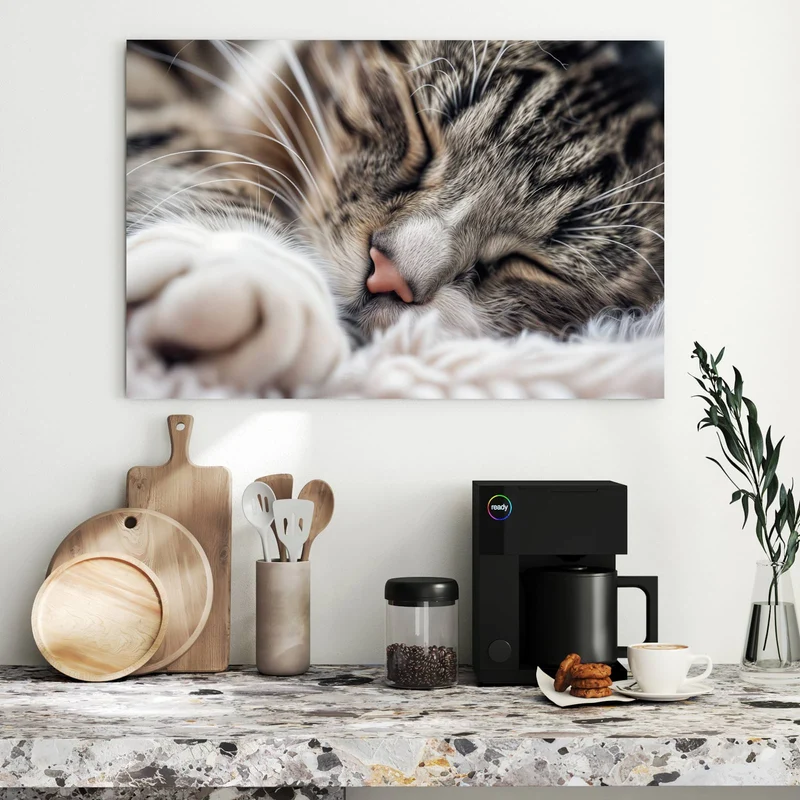 Metall Magnettafel - Schlafende Katze