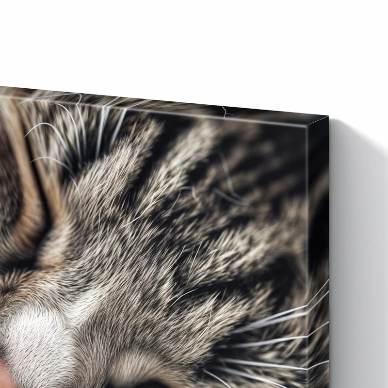 Metall Magnettafel - Schlafende Katze