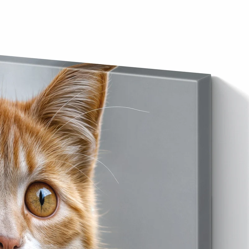 Metall Magnettafel - Katze hinter der Mauer