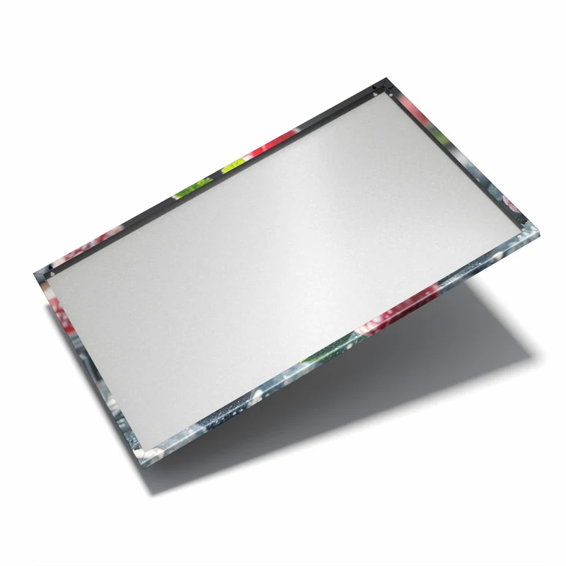 Metall Magnettafel - Beeren im Eisblock