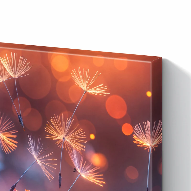 Metall Magnettafel - Glühende Pusteblume