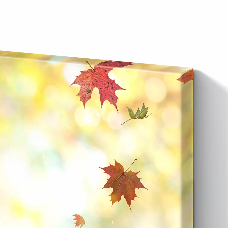 Metall Magnettafel - Herbstlaub auf Holz