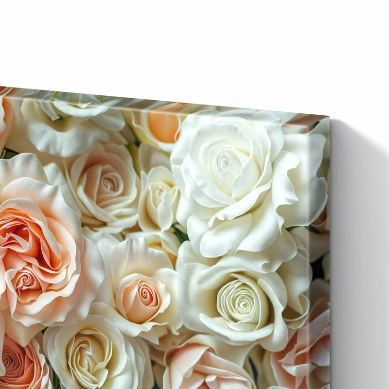 Metall Magnettafel - Cremeweiße Rosen