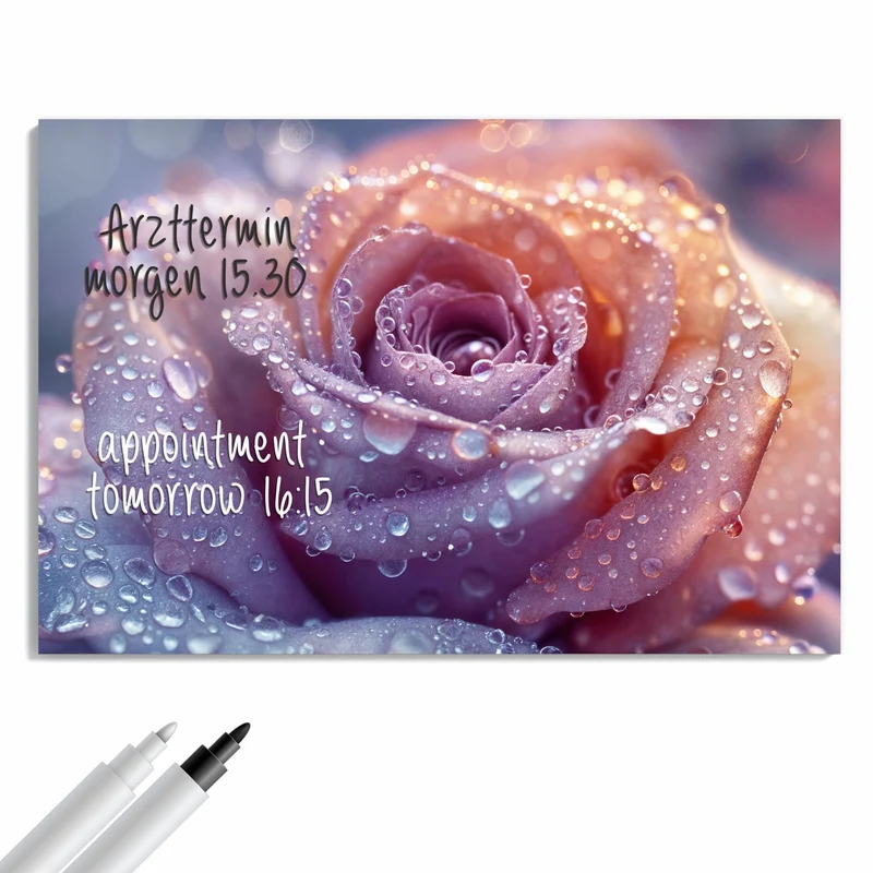 Metall Magnettafel - Lila Rose im Tau