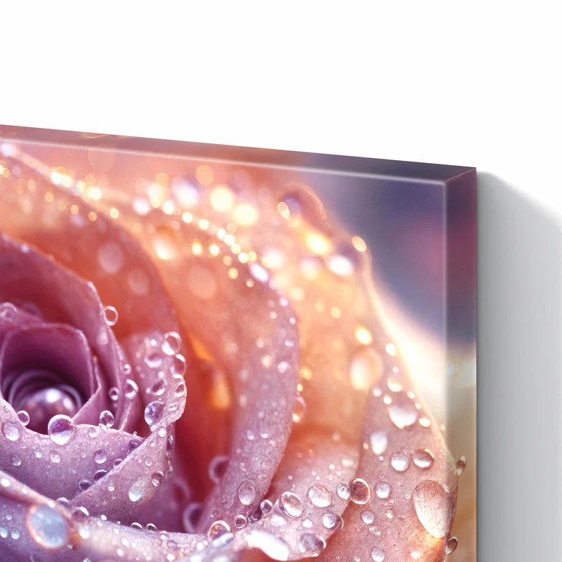 Metall Magnettafel - Lila Rose im Tau