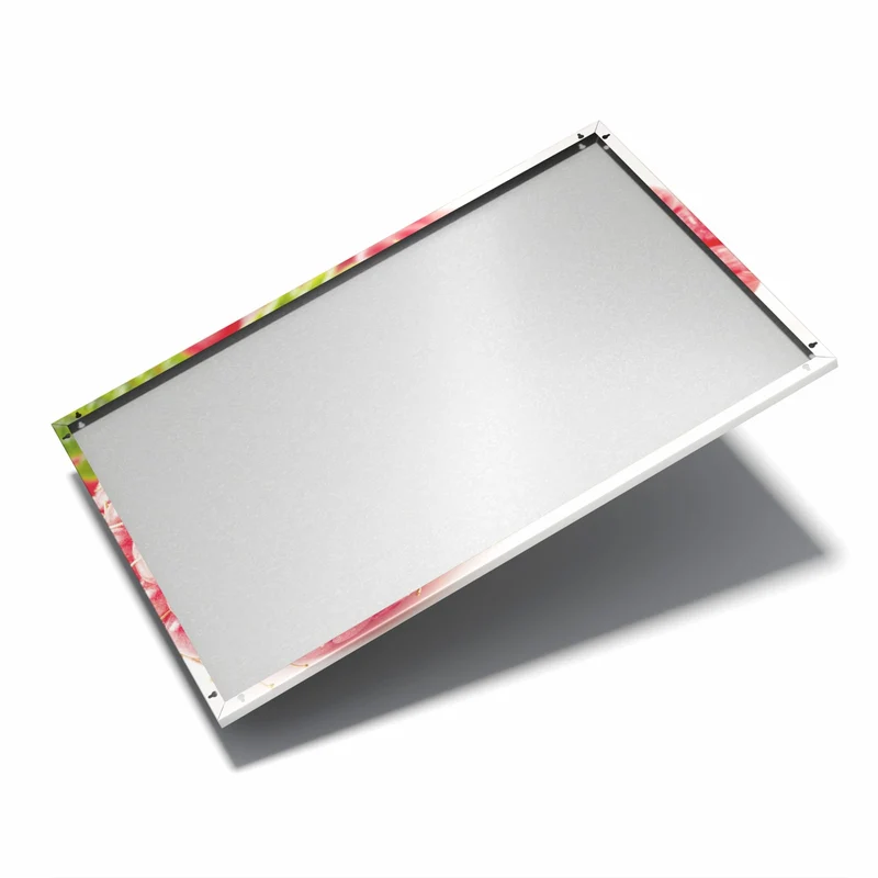 Metall Magnettafel - Saftige Himbeeren