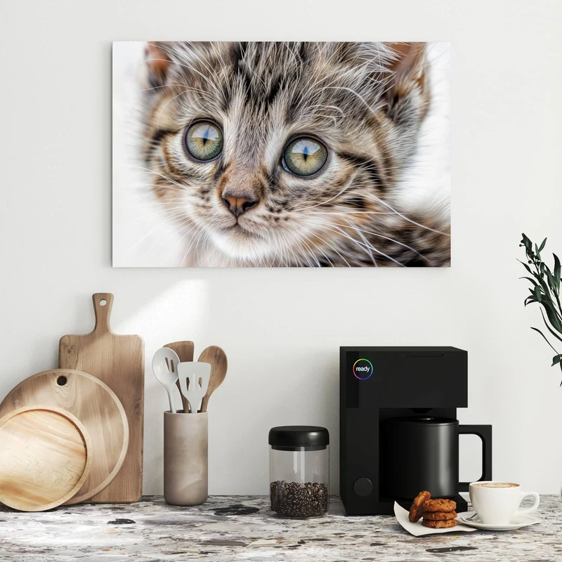 Metall Magnettafel - Neugieriges Katzenjunges