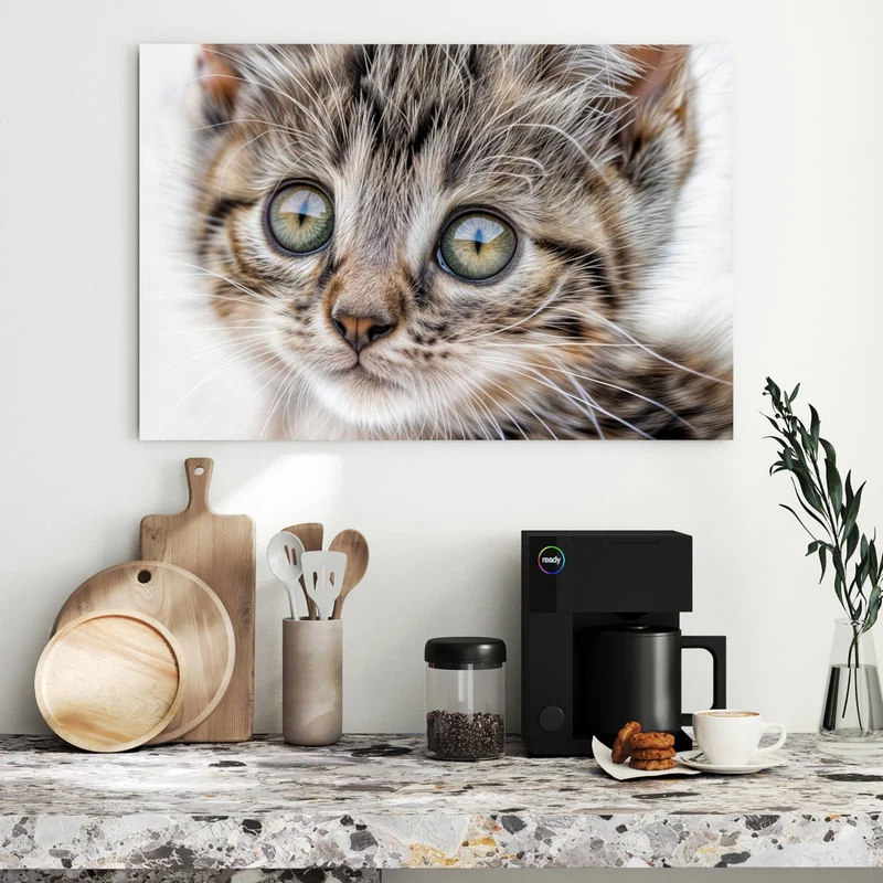 Metall Magnettafel - Neugieriges Katzenjunges