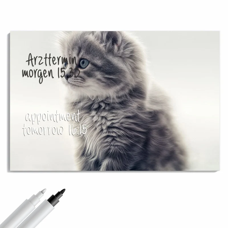 Metall Magnettafel - Graues Kätzchen