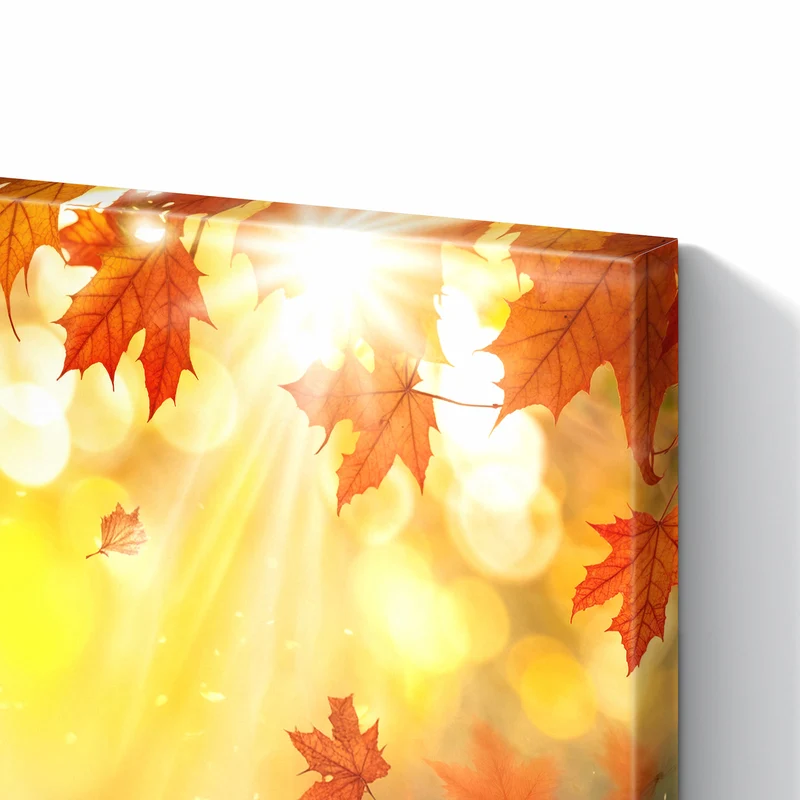 Metall Magnettafel - Sonne im Ahornlaub