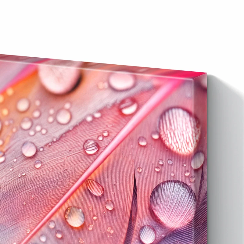 Metall Magnettafel - Wassertropfen auf Federn