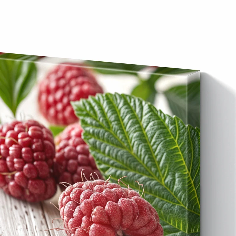 Metall Magnettafel - Himbeeren auf Weiß
