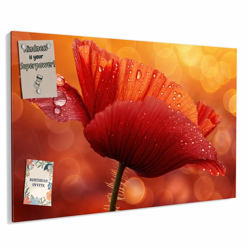 Metall Magnettafel - Mohn mit Tautropfen