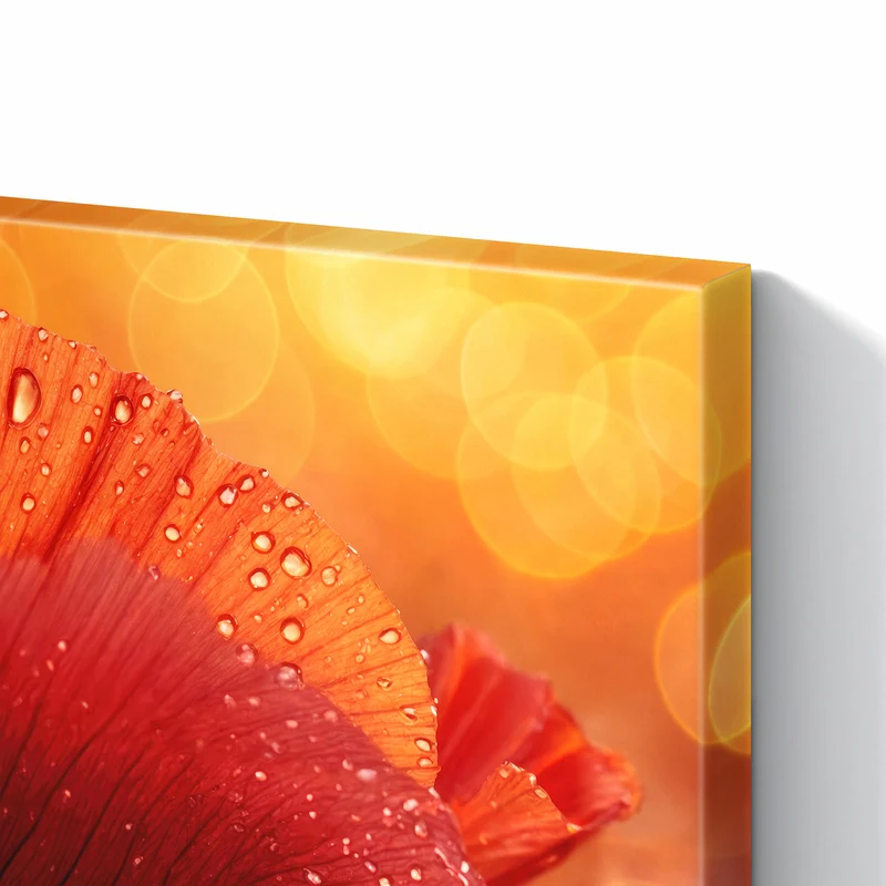 Metall Magnettafel - Mohn mit Tautropfen