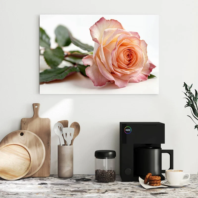 Metall Magnettafel - Rose in Apricot