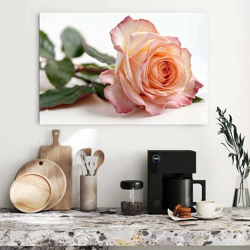 Metall Magnettafel - Rose in Apricot
