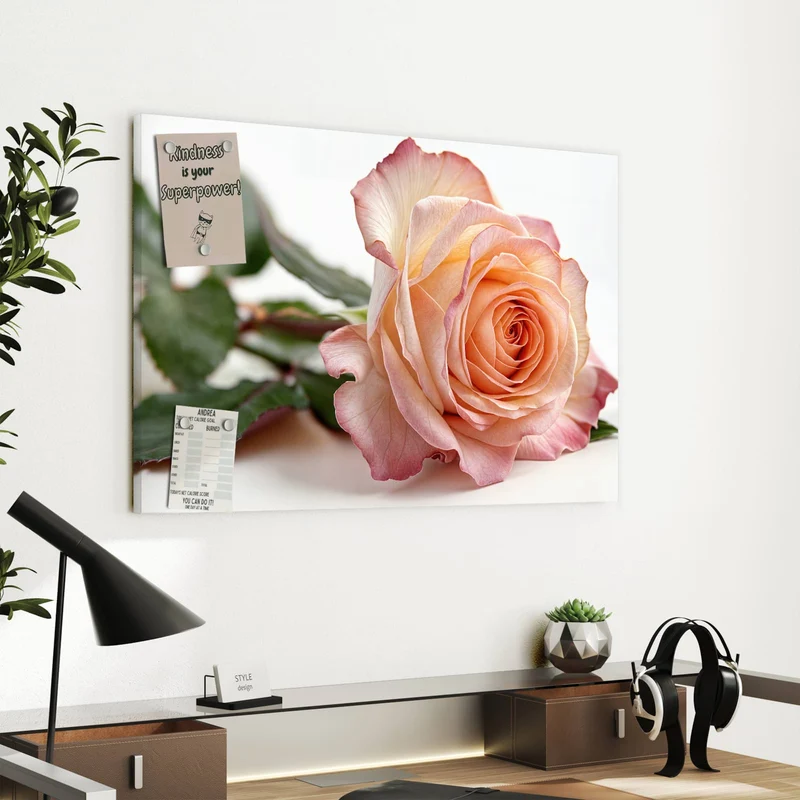 Metall Magnettafel - Rose in Apricot