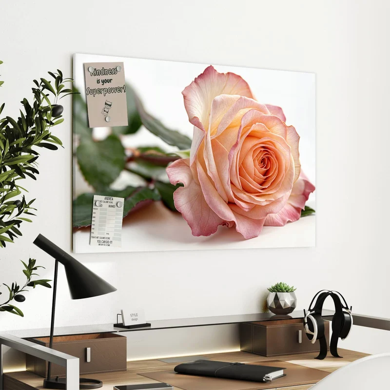 Metall Magnettafel - Rose in Apricot