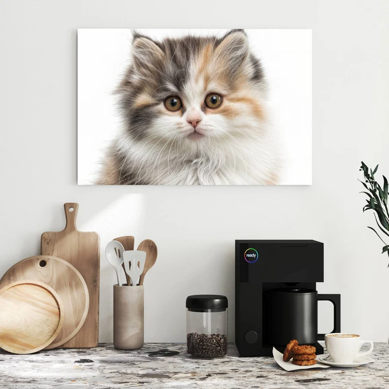 Metall Magnettafel - Flauschige Katze