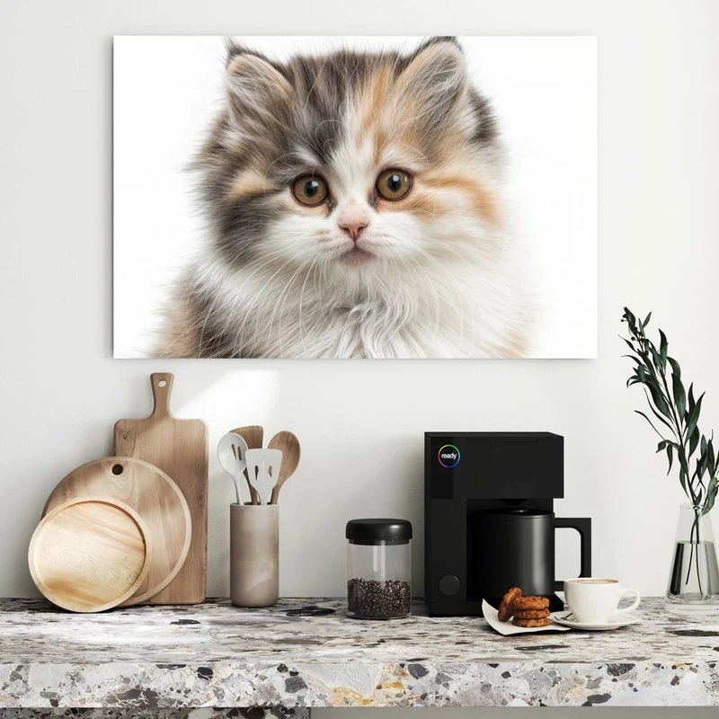Metall Magnettafel - Flauschige Katze