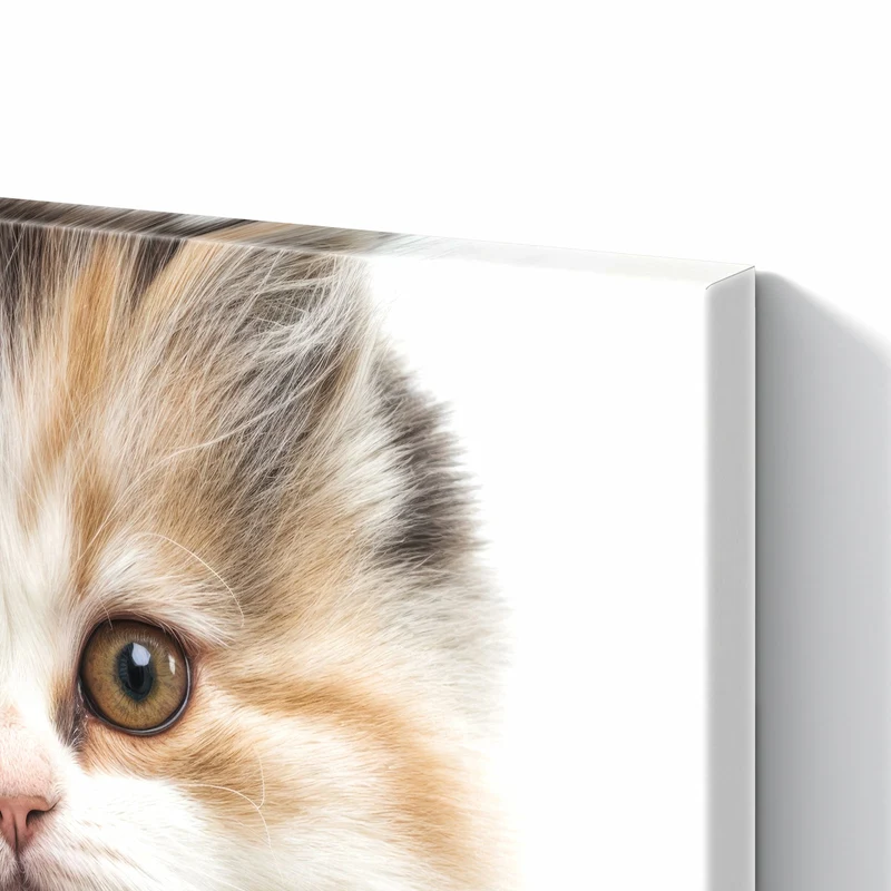 Metall Magnettafel - Flauschige Katze