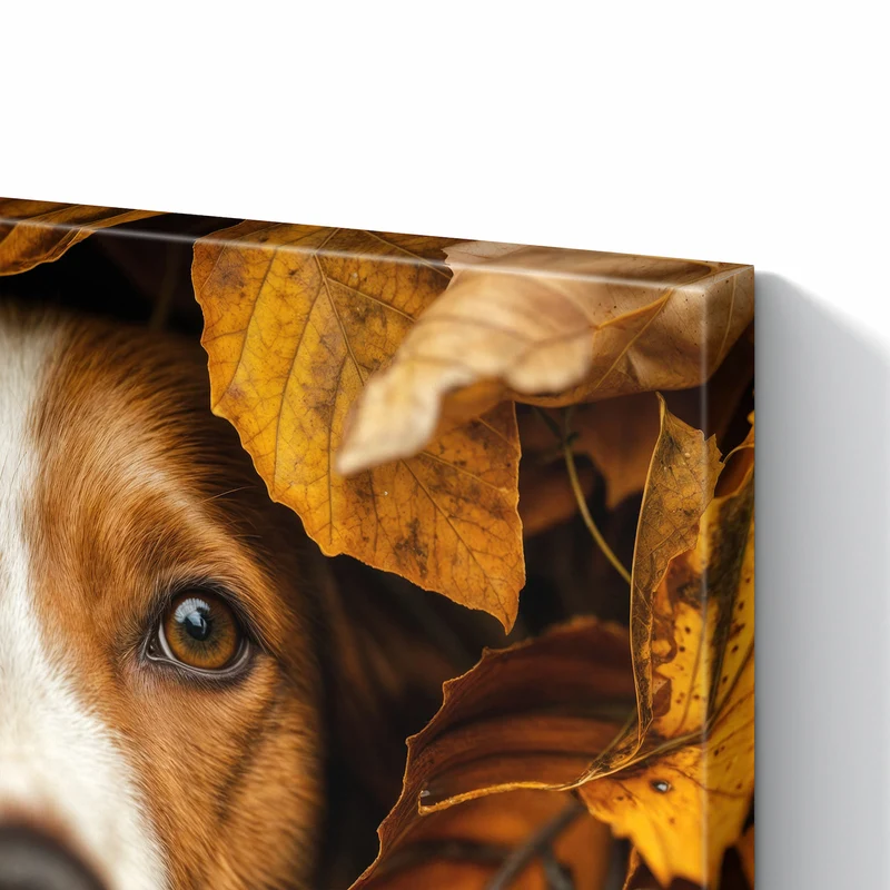 Metall Magnettafel - Hund im Herbstlaub