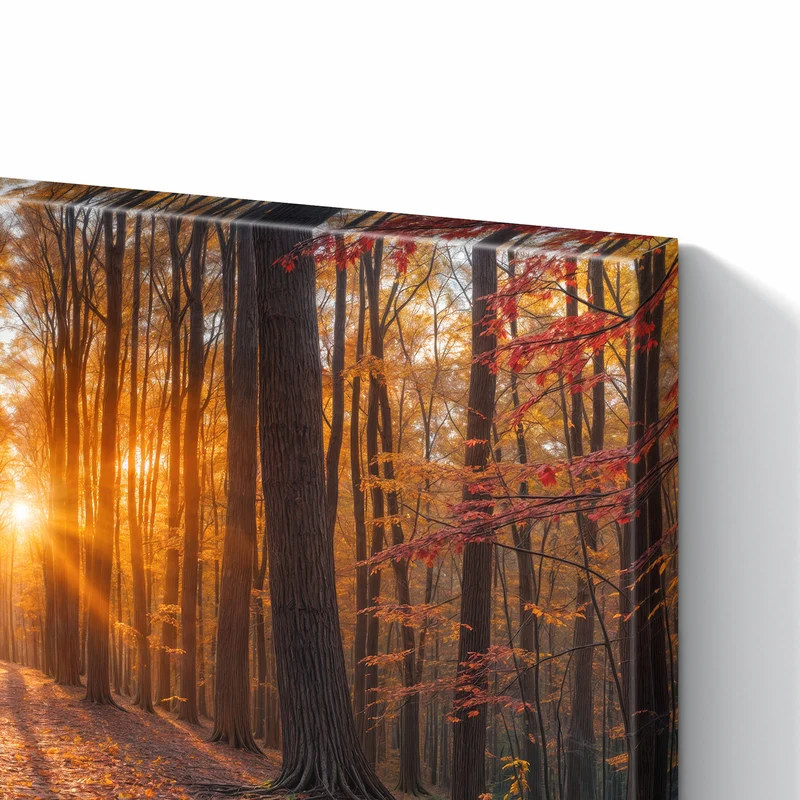 Metall Magnettafel - Sonne im Herbstwald