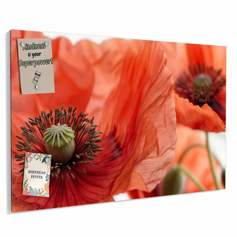 Metall Magnettafel - Mohnblüten