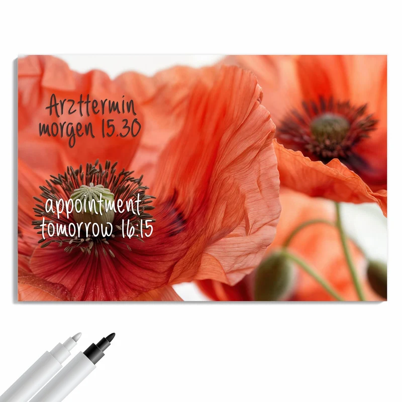 Metall Magnettafel - Mohnblüten
