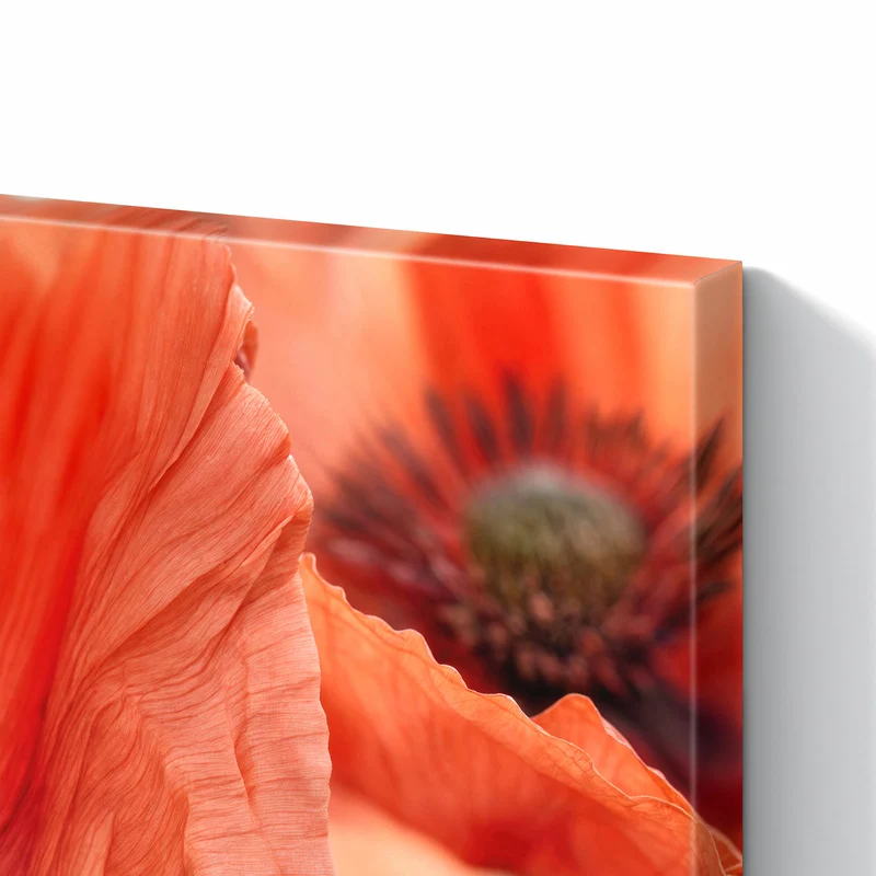 Metall Magnettafel - Mohnblüten