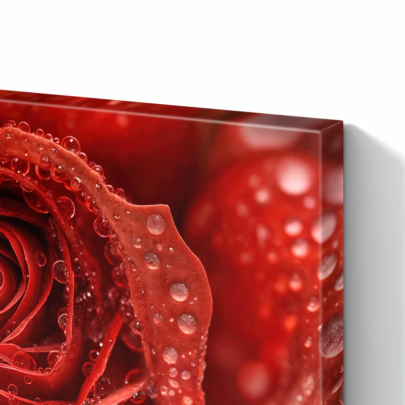 Metall Magnettafel - Rote Rose mit Tropfen