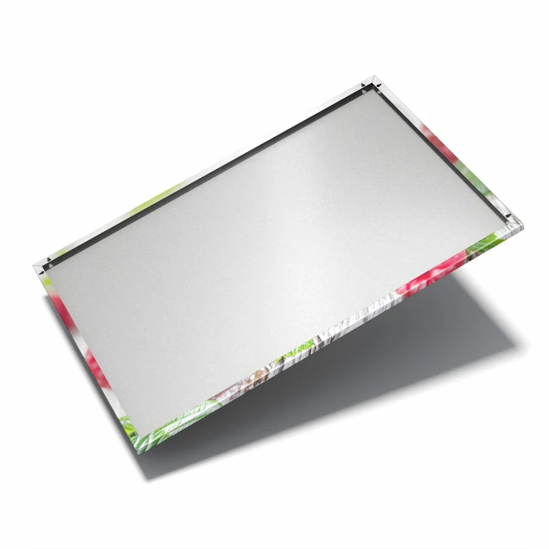 Metall Magnettafel - Frische Himbeeren