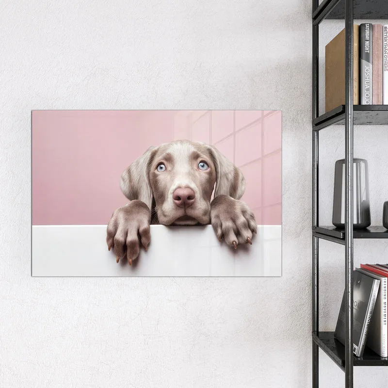 Magnettafel - Weimaraner Welpe