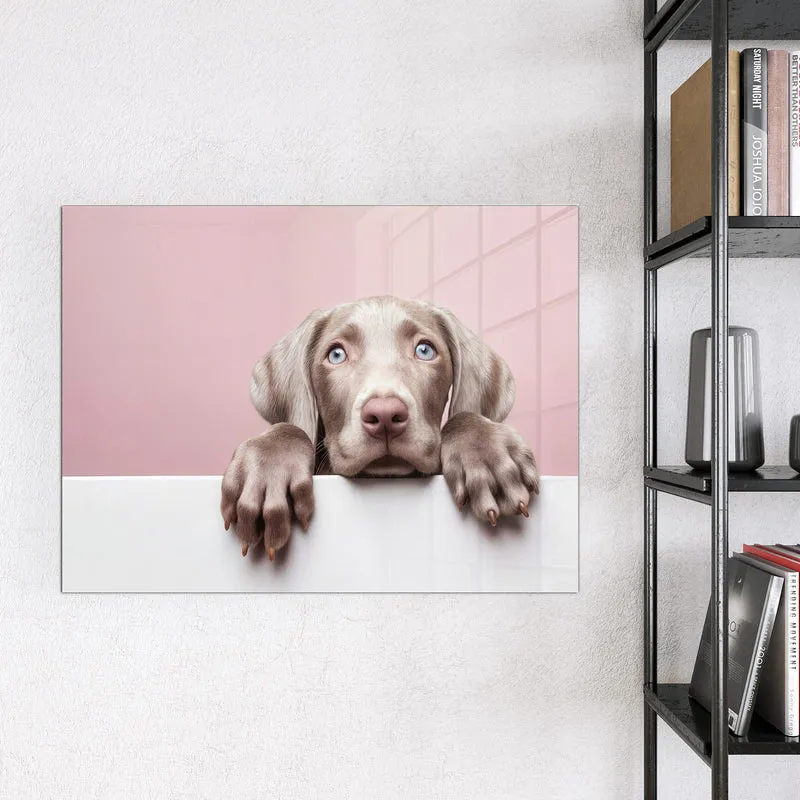 Magnettafel - Weimaraner Welpe