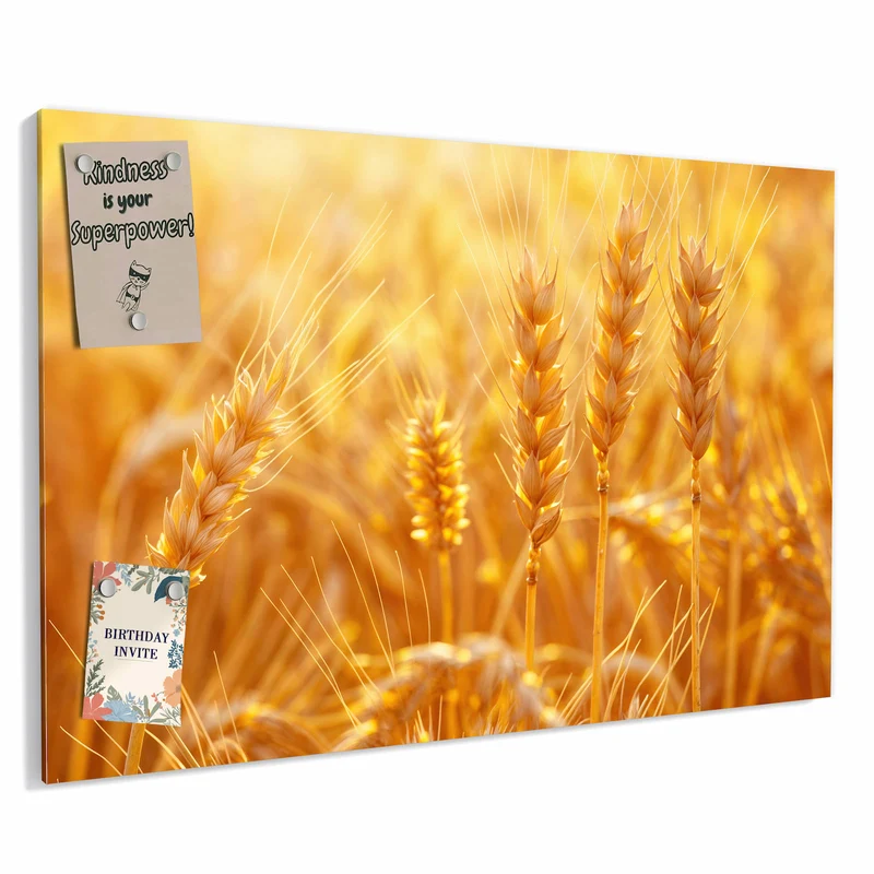 Metall Magnettafel - Weizen im Gegenlicht