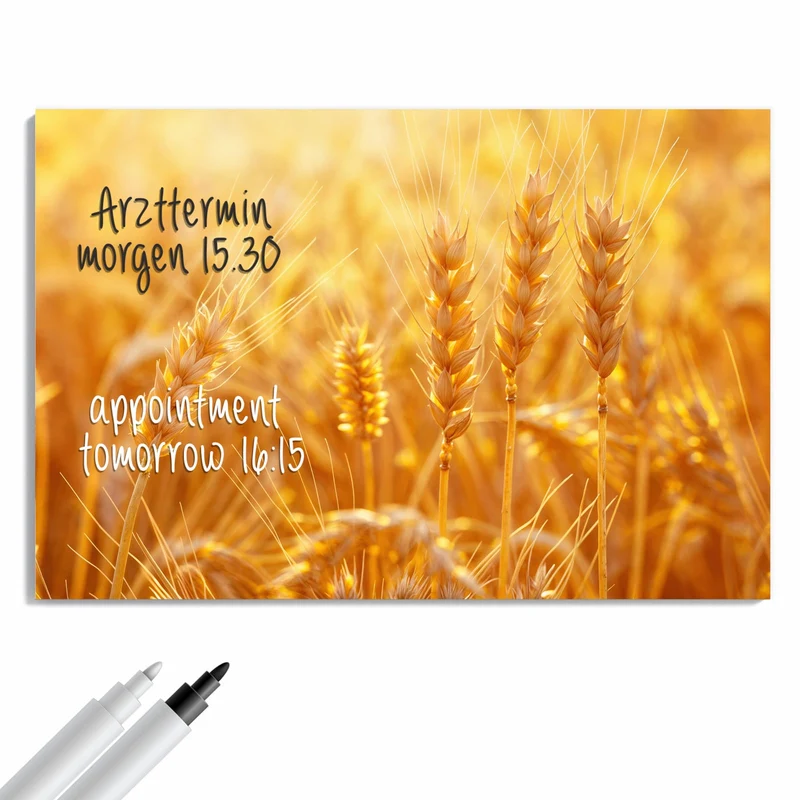 Metall Magnettafel - Weizen im Gegenlicht
