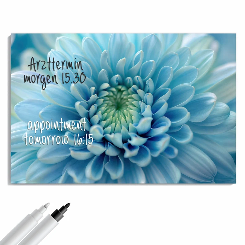 Metall Magnettafel - Helle Chrysantheme