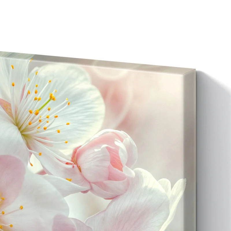 Metall Magnettafel - Weiße Frühlingsblüten