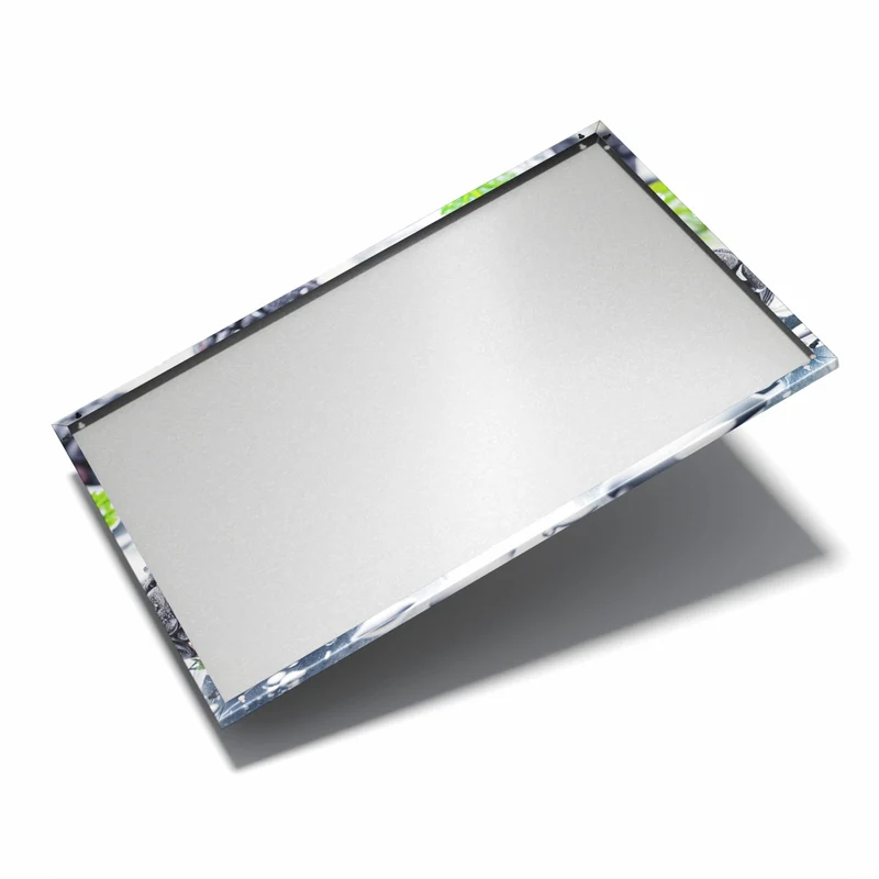 Metall Magnettafel - Brombeeren auf Eis