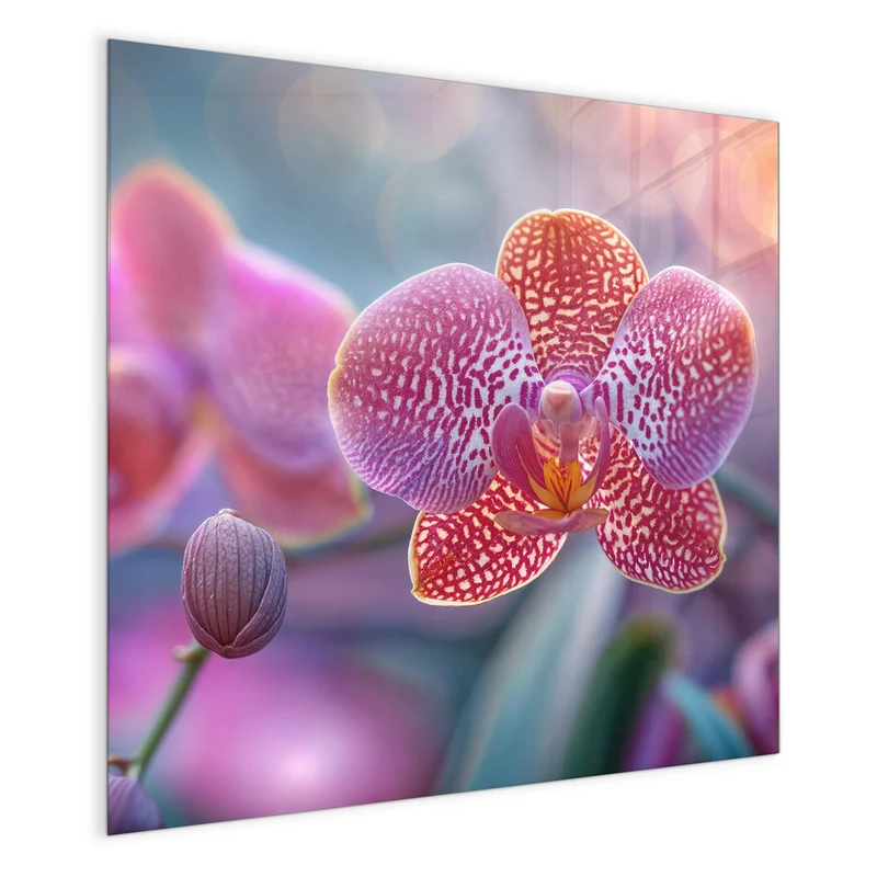 Magnettafel - Exotische Orchidee