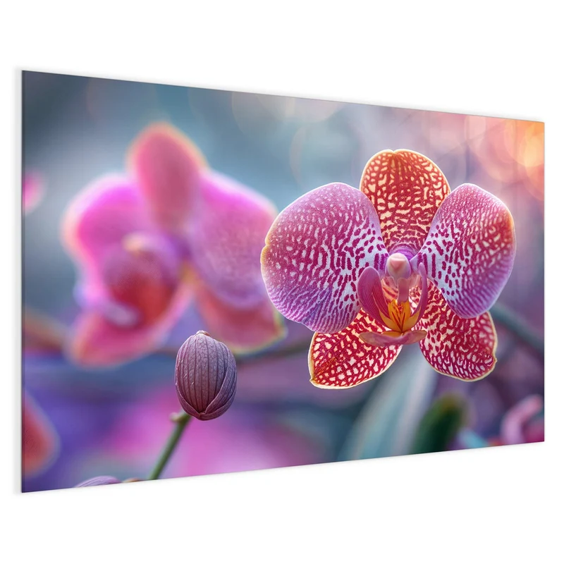 Magnettafel - Exotische Orchidee
