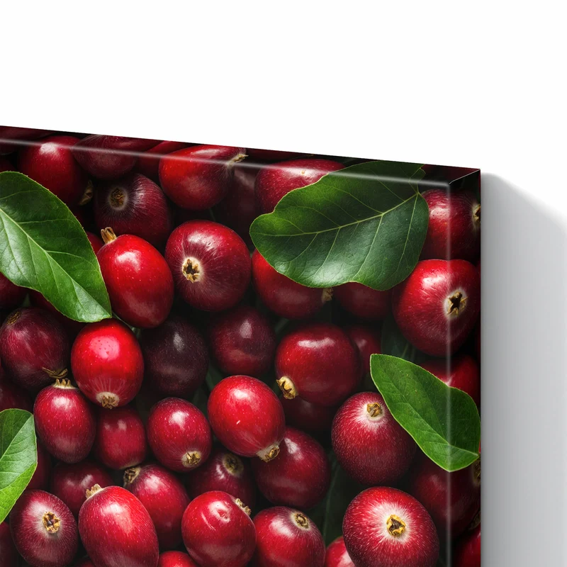 Metall Magnettafel - Frische Preiselbeeren