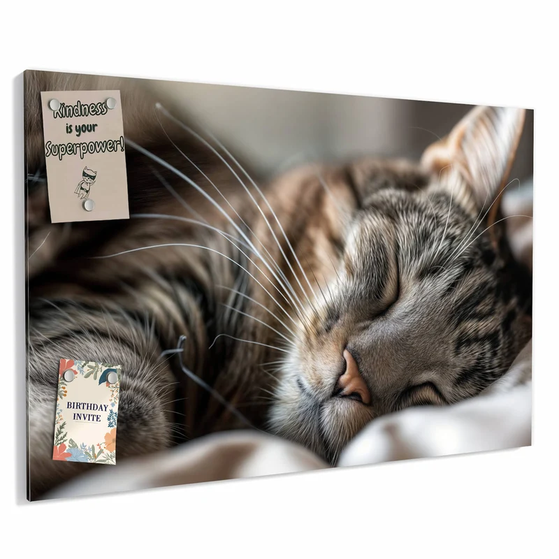 Metall Magnettafel - Schlummernde Katze