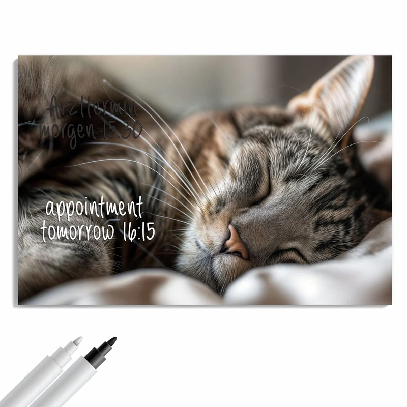 Metall Magnettafel - Schlummernde Katze